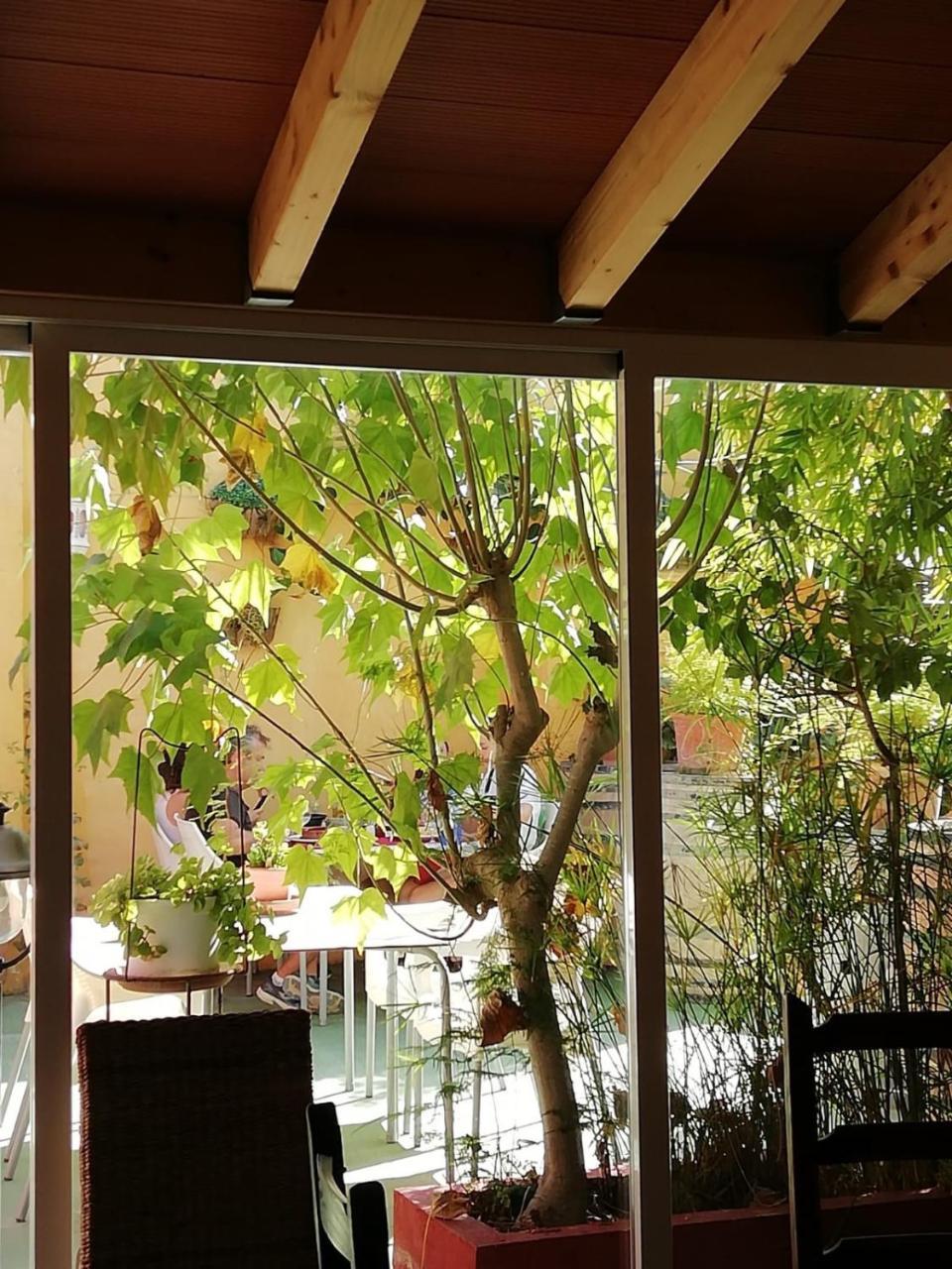 Casa Antiquary Hostel เบนีตาเชลล์ ภายนอก รูปภาพ